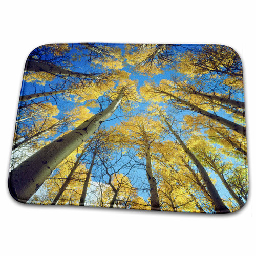 3dRose Danita Delimont - Autumn - Fall colors of Aspen trees. - Dish Drying Mats (ddm-205423-1)