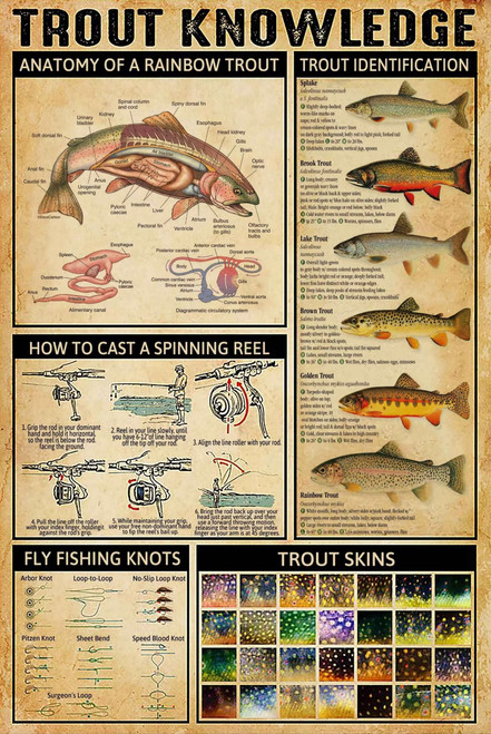 Trout Knowledge Metal Poster Anatomy Of A Rainbow Trout Retro Tin Sign School Science Education Dining Room Living Room Bathroom Home Art Wall Decoration Plaque Gift