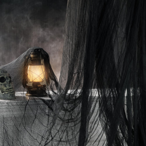 197" x 85" Halloween Creepy Cloth - Halloween Spooky Fabric Cloth - Scary Gauze Blood Creepy Cloth for Haunted House Halloween Party Yard Wall Doorway Outdoors Decoration (Black) 197" x 85" Halloween Creepy Cloth - Halloween Spooky Fabric Cloth - Scary Gauze Blood Creepy Cloth for Haunted House Halloween Party Yard Wall Doorway Outdoors Decoration (Black)