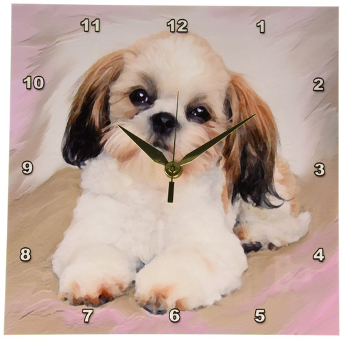 3dRose Shih Tzu Puppy Wall Clock, 10 by 10-Inch