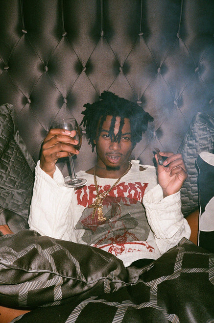 elixir design Playboi Carti Poster Musician Concert Tour Rapper 12X18 inches Rolled