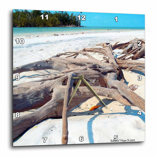 3dRose Driftwood on The Beaches in The Everglades - Wall Clock, 15 by 15-Inch (DPP_51658_3)