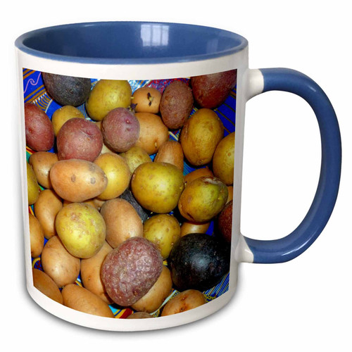 3dRose Susans Zoo Crew Food - small colorful potoatoes - 11oz Two-Tone Blue Mug (mug_156365_6)