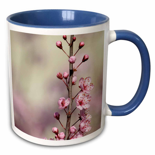 3dRose PS Flowers - Pink Cherry Blossom Floral - 11oz Two-Tone Blue Mug (mug_183229_6)