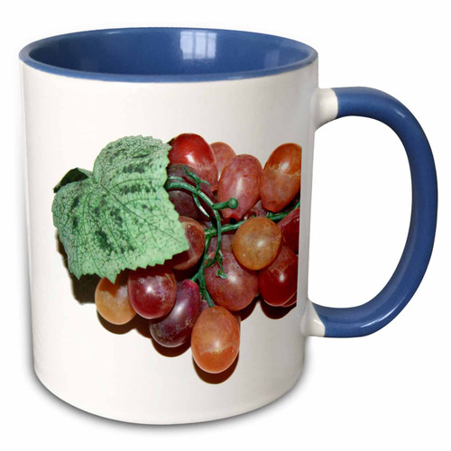 3dRose Susans Zoo Crew Flowers - plastic grape graphics - 11oz Two-Tone Blue Mug (mug_185186_6)