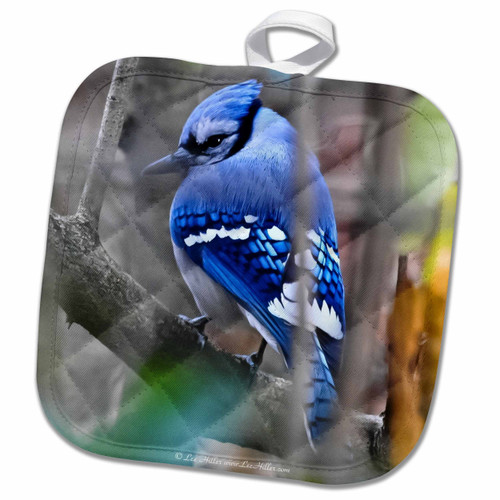 3dRose Lee Hiller Photography Hot Springs National Park Wildlife - Birds Shy Blue jay - 8x8 Potholder (phl_18039_1) 3dRose Lee Hiller Photography Hot Springs National Park Wildlife - Birds Shy Blue jay - 8x8 Potholder (phl_18039_1)