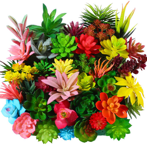 WILLBOND 38 Pcs Bulk Mini Artificial Succulents Plants Assorted Unpotted Realistic Plants Fake Textured Succulent Picks Realistic Plastic Cactus Stems for Succulent Garden Home Decor (Cute Style) WILLBOND 38 Pcs Bulk Mini Artificial Succulents Plants Assorted Unpotted Realistic Plants Fake Textured Succulent Picks Realistic Plastic Cactus Stems for Succulent Garden Home Decor (Cute Style)
