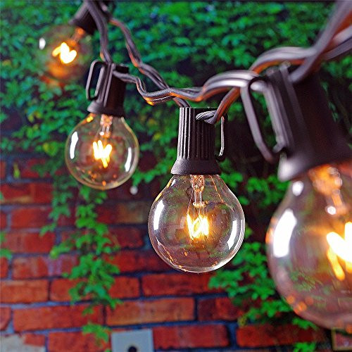 25ft Decorative String Lights with G40 Bulbs-Vintage Backyard Patio Lights with 25 Clear Bulbs, for Indoor/Outdoor Use