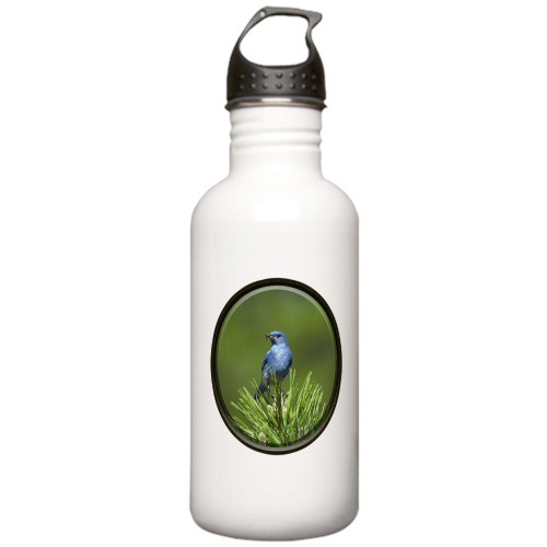 Truly Teague Stainless Water Bottle 1.0L Blue Bird on an Evergreen