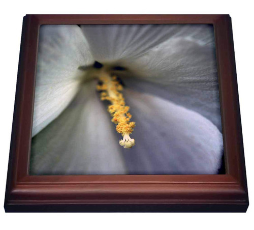 3dRose Macro Photograph of a White Rose of Sharon Flower. - Trivets (trv_337937_1) 3dRose Macro Photograph of a White Rose of Sharon Flower. - Trivets (trv_337937_1)