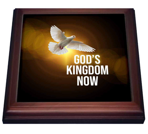 3dRose A White Dove, Heavenly Light. Gods Kingdom Now Text. Positive Gift - Trivets (trv_339539_1)