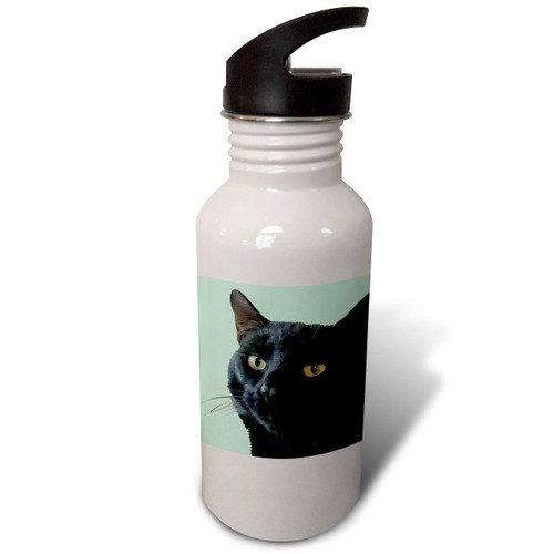 3dRose Black Cat With Quirky Face Vector Art Cut Out On Green - Water Bottles (wb-370969-2)