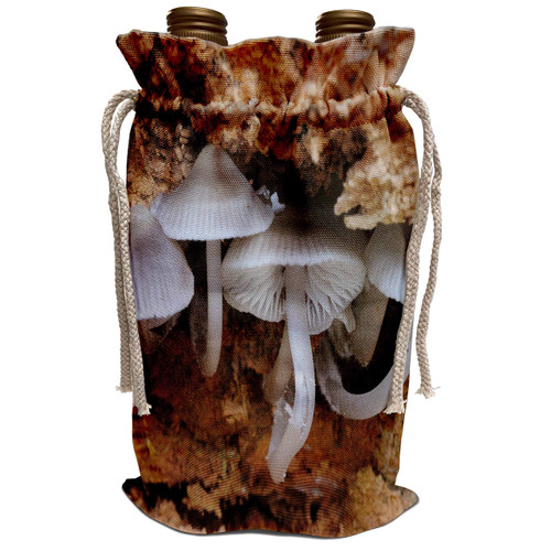 3dRose Danita Delimont - Canada - Canada, Vancouver. Small white mushrooms growing beneath a dead tree - Wine Bag (wbg_226755_1)