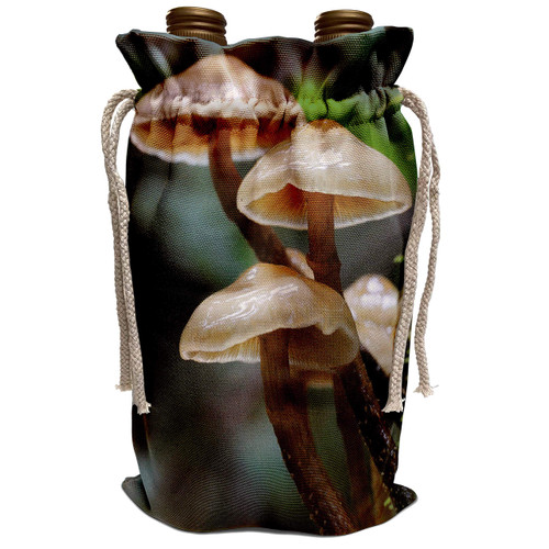 3dRose Danita Delimont - Canada - Canada, Vancouver. Small brown mushrooms - Wine Bag (wbg_226775_1)