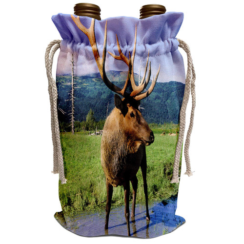 3dRose Danita Delimont - Deer - Elk bull standing in a small stream, Alaska Wildlife Center, Portage Alaska - Wine Bag (wbg_229393_1) 3dRose Danita Delimont - Deer - Elk bull standing in a small stream, Alaska Wildlife Center, Portage Alaska - Wine Bag (wbg_229393_1)