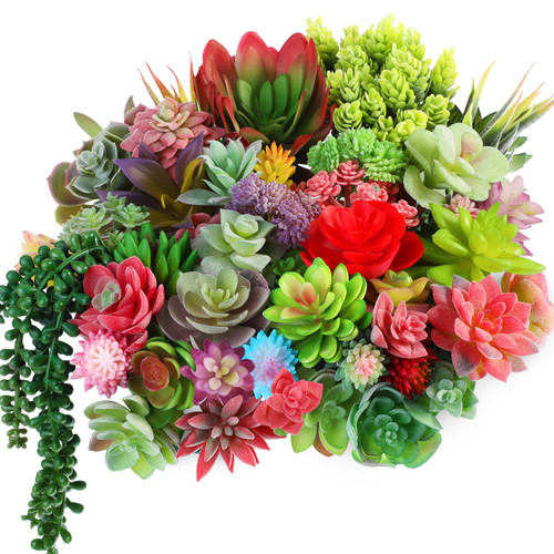 WILLBOND 50 Pcs Bulk Mini Artificial Succulents Plants Assorted Unpotted Realistic Plants Fake Textured Succulent Picks Realistic Plastic Cactus Stems for Succulent Garden Home Decor (Large Style) WILLBOND 50 Pcs Bulk Mini Artificial Succulents Plants Assorted Unpotted Realistic Plants Fake Textured Succulent Picks Realistic Plastic Cactus Stems for Succulent Garden Home Decor (Large Style)