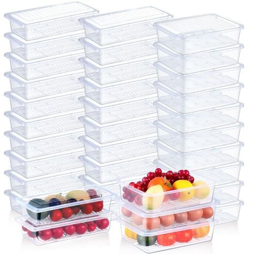 Hoolerry 30 Pack Plastic Refrigerator Organizer Bins with Lids Fridge Food Storage Containers Freezer Storage Container with Drain Plate for Fruits Vegetables Meat Produce Saver Hoolerry 30 Pack Plastic Refrigerator Organizer Bins with Lids Fridge Food Storage Containers Freezer Storage Container with Drain Plate for Fruits Vegetables Meat Produce Saver