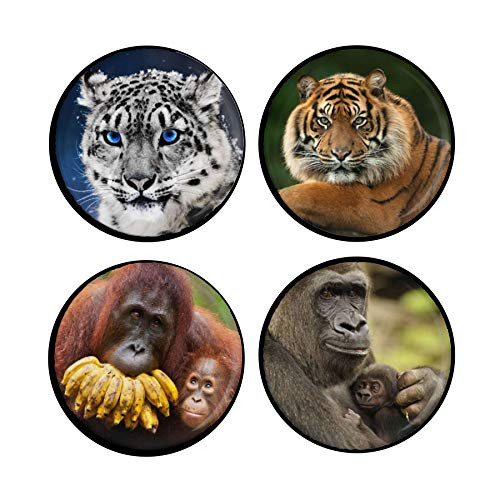 Endangered Species 4-button set: Primates and Big Cats - Orangatan, Gorilla, Tiger, Snow Leopard