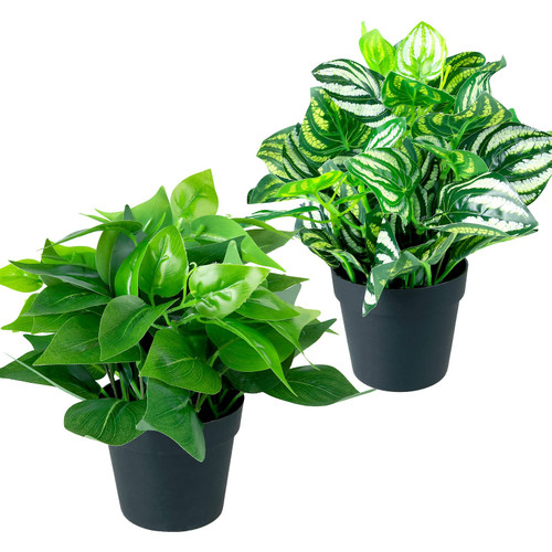 summer flower Fake Plants Indoor, Artificial Plants for Home Decor Indoor, Pothos Small Faux Plants for Living Room Decor Artificial Potted Plants for Indoor Outdoor Shelf Home Office Decor?Black Pot summer flower Fake Plants Indoor, Artificial Plants for Home Decor Indoor, Pothos Small Faux Plants for Living Room Decor Artificial Potted Plants for Indoor Outdoor Shelf Home Office Decor?Black Pot