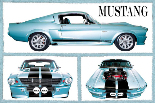 Fabulous Mustangs Photo Photograph Cool Wall Decor Art Print Poster 36x24 Fabulous Mustangs Photo Photograph Cool Wall Decor Art Print Poster 36x24