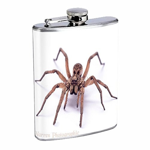 Spider Flask D5 8oz Stainless Steel Arachnid Insect Black Widow Tarantulas