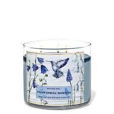 Bath and Body Works, White Barn 3-Wick Candle w/Essential Oils - 14.5 oz - 2021 Fresh Spring Scents! (Fresh Spring Morning)