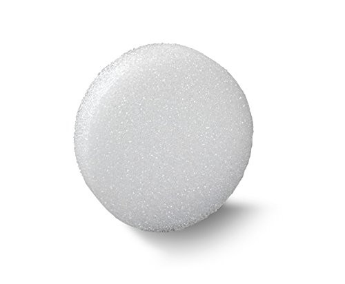 FloraCraft Styrofoam Disc 1.1 Inch x 8.8 Inch White