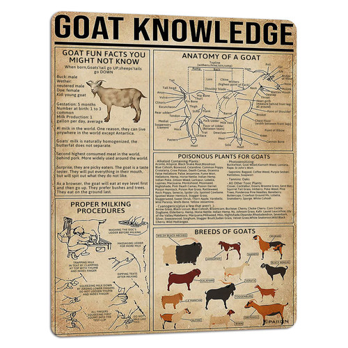PAIION Goat Knowledge Metal Tin Sign Goat Planing Infographic Tin Poster for Farm Home Kitchen School Club Wall Decorations 16x12 Inch