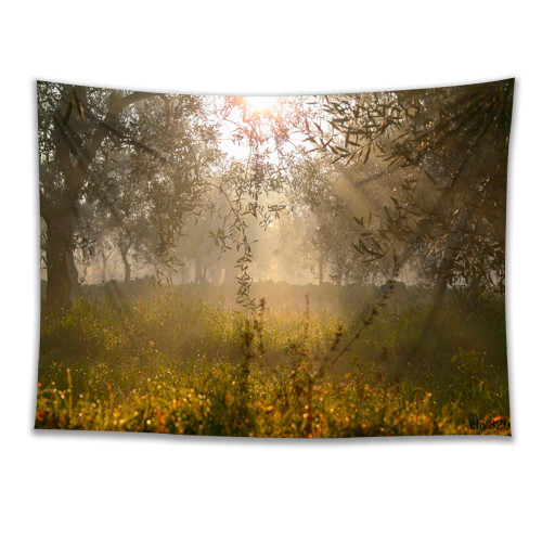 Customizable, Kolaimo Fairy Forest Tapestry Wall Hanging Sunshine Through Green Trees Nature Landscape Bedroom Living Room Dorm Decor