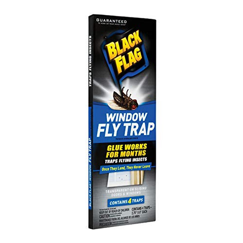 Black Flag HG-11018 Window Fly Trap, Pack of 1