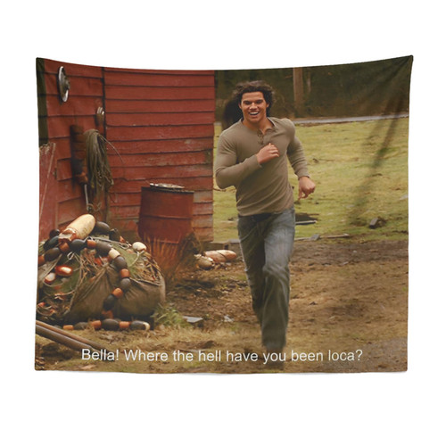 Aertemisi 60'' x 50'' Bella Where the Hell Have You Been Loca, Twilight New Moon Jacob Funny Meme Tapestry & Wall Hanging for Bedroom Living Room Dorm Home Decor 150cm x 130cm