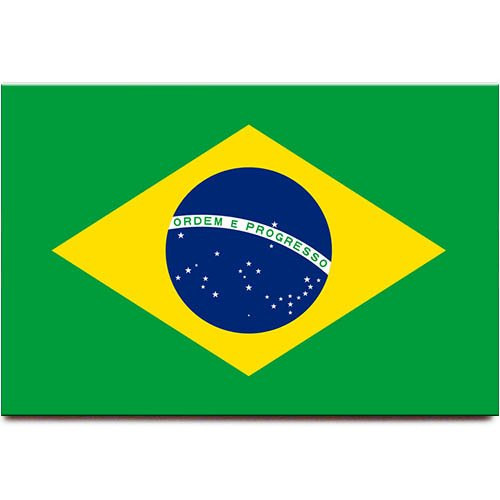 Brazil flag fridge magnet Sao Paulo Rio de Janeiro travel souvenir Brazil flag fridge magnet Sao Paulo Rio de Janeiro travel souvenir