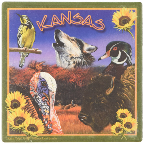CoasterStone Absorbent Coasters, 4-1/4-Inch, "Kansas", Set of 4