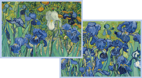 Caspari Van Gogh Irises Blank Notecards, Set of 8