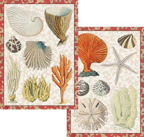 Caspari Coastal Curiosities Blank Notecards, Set of 8
