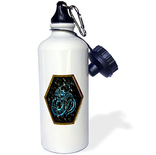 3dRose wb_23199_1 Thor Mythology Tribal Abstract Norse Pagan Asatru Sports Water Bottle, 21 oz, White