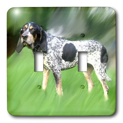 3dRose lsp_4417_2 Blue Tick Coonhound Double Toggle Switch