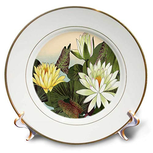 3dRose cp_175406_1 Pretty Large Pale Yellow Water Lilies-Porcelain Plate, 8-Inch