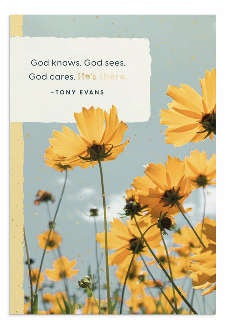 DaySpring - Tony Evans - Encouragement - He's There - 3 Premium Cards (U1042)