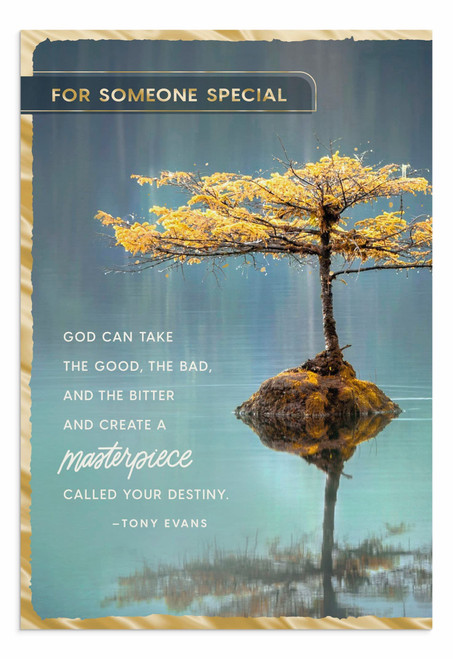 DaySpring - Tony Evans - Friendship - God Can Create a Masterpiece - 3 Premium Cards (U1051)