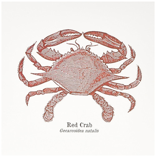3dRose Red Crab Greeting Cards, 6" x 6", Set of 6 (gc_178815_1)