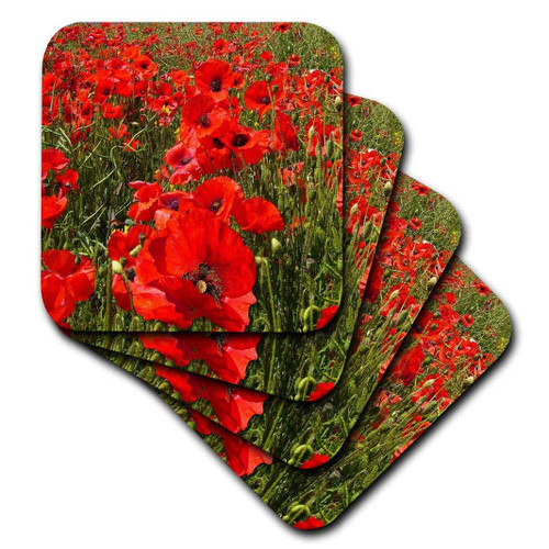3dRose Poppy Flower Field. Poppy Flowers. Popular Image. - Ceramic Tile Coasters, Set of 4 (CST_218225_3)