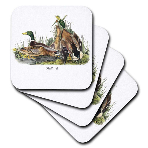 3dRose Mallard Duck by John James Audubon - Soft Coasters, set of 4