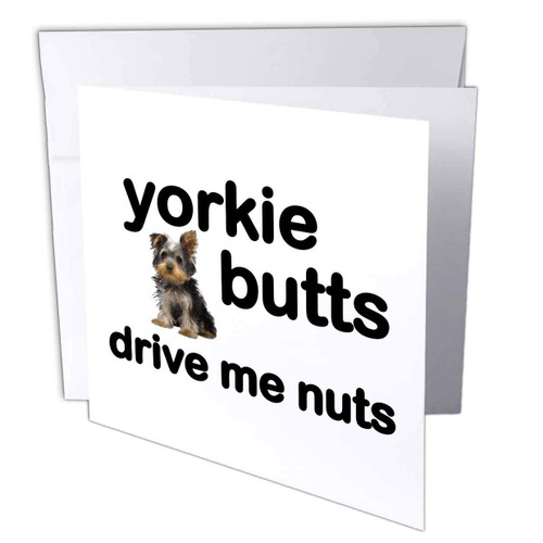 3dRose EvaDane - Quotes - Yorkie Butts Drive Me Nuts - 6 Greeting Cards with envelopes (gc_254669_1)