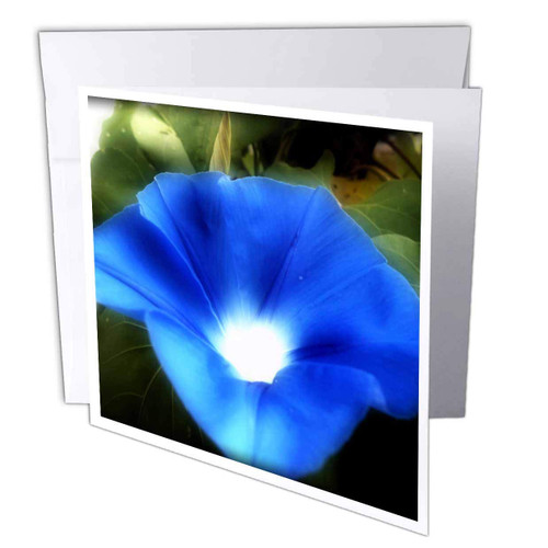 3dRose Light Within A Morning Glory is A Beautiful Blue Morning Glory Flower - Greeting Card, 6" x 6", Single (gc_232033_5)