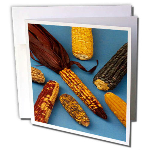 3dRose Food Colorful Corn Cob Ears Greeting Card (gc_285125_1)