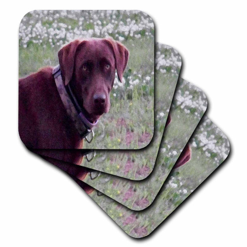 3dRose CST_14200_2 Chocolate Lab Oil Painting-Soft Coasters, Set of 8