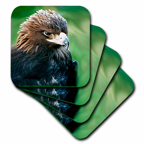 3dRose CST_646_3 Golden Eagle Ceramic Tile Coasters, Set of 4
