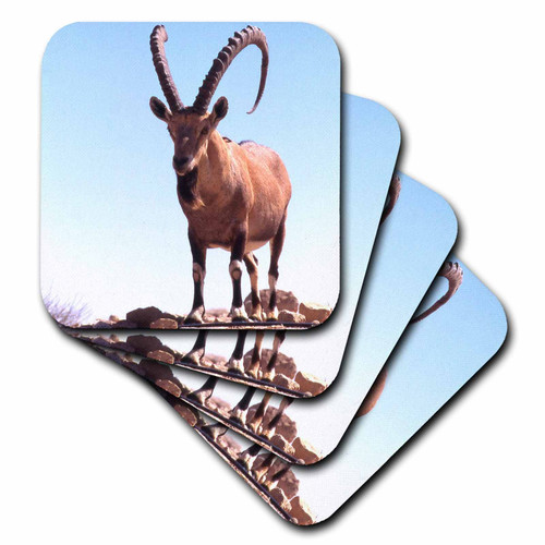 3dRose CST_1317_3 Nubian Goat Ceramic Tile Coasters, Set of 4