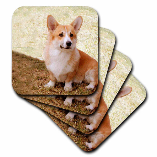 3dRose CST_1065_4 Pembroke Welsh Corgi-Ceramic Tile Coasters, Set of 8
